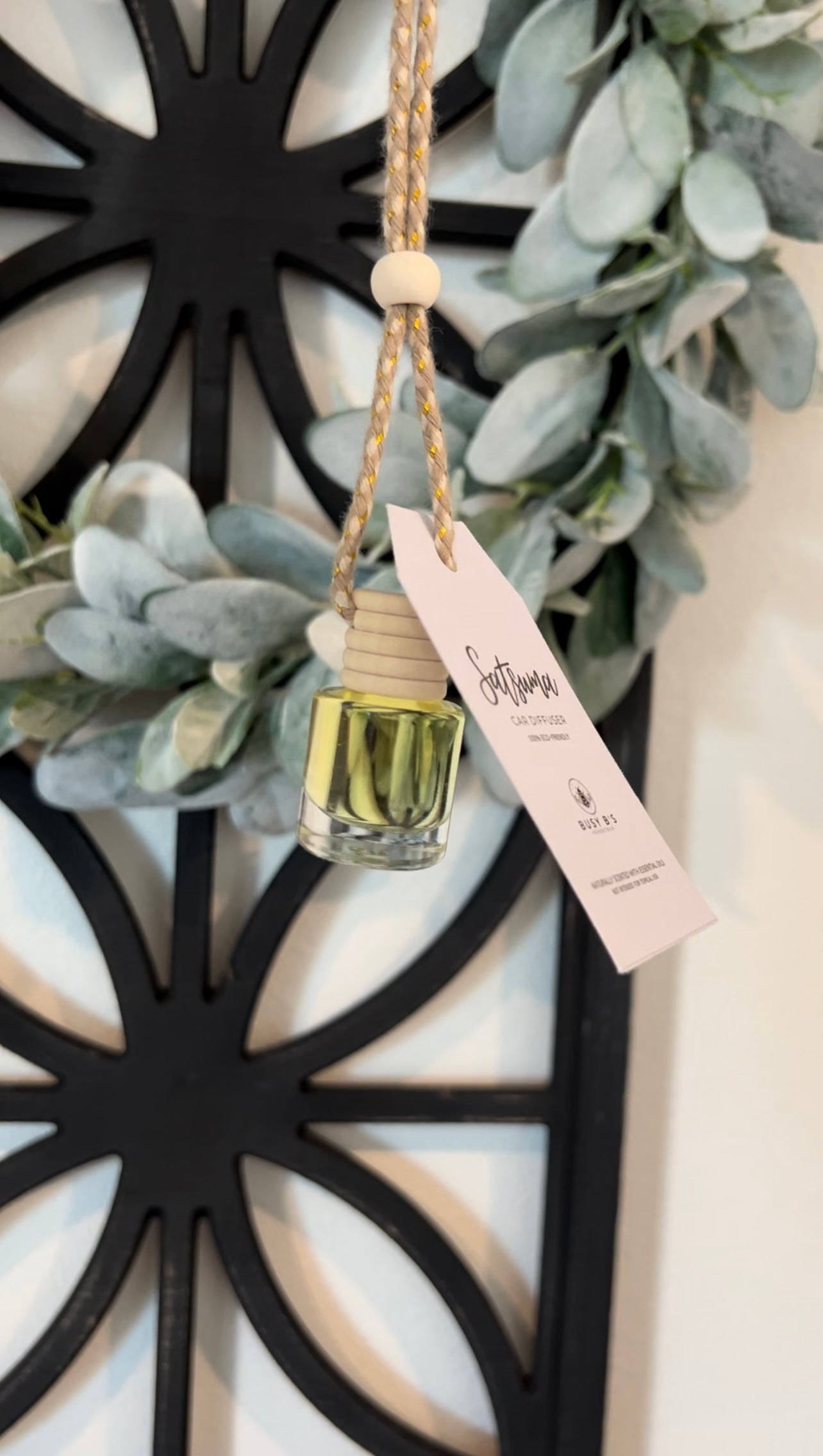 Hanging Car Diffuser